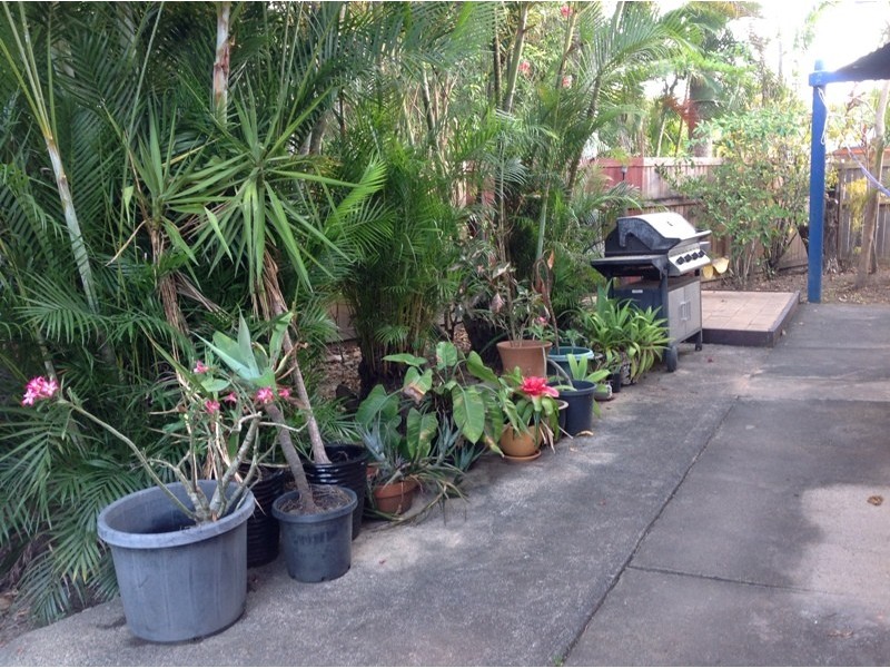 5 Slatcher Close, Gordonvale QLD 4865
