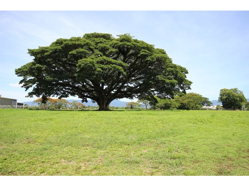 25 Wienert Street, Edmonton QLD 4869