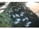 Cairns QLD 4870