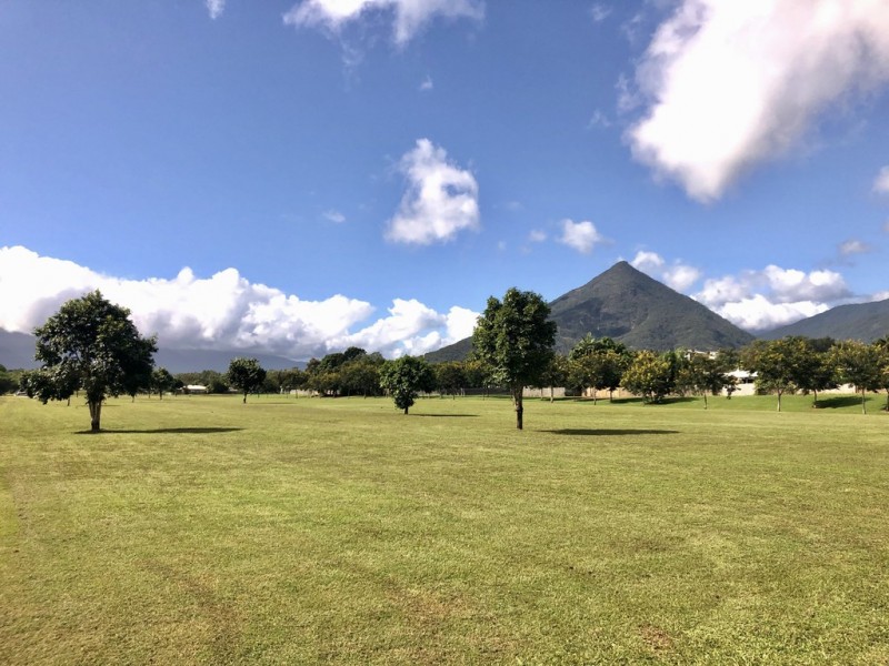 20 Charlton Street, Gordonvale QLD 4865