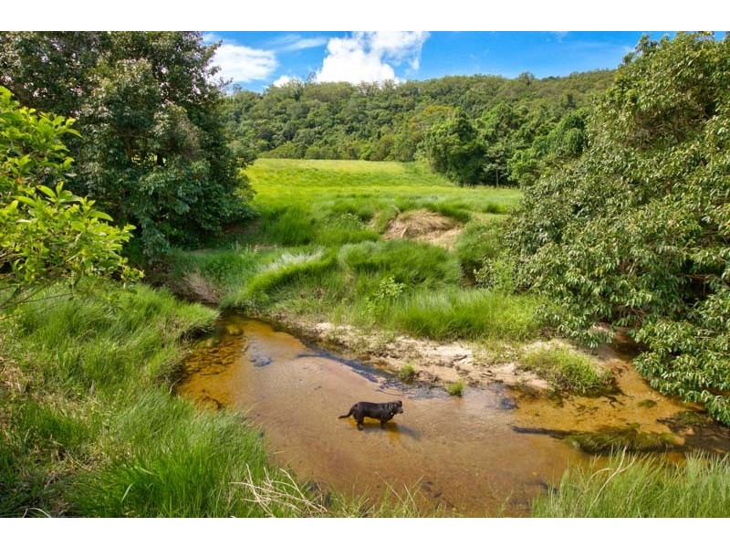 194 Gray Road, Green Hill QLD 4865