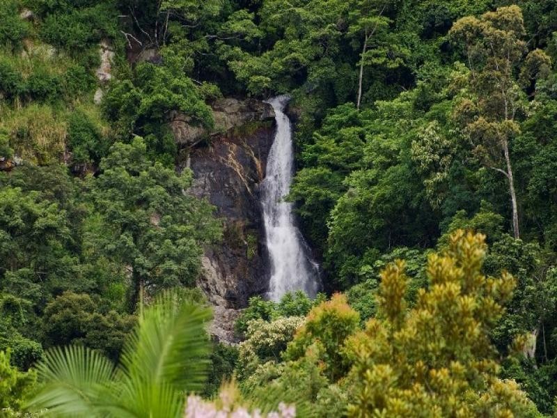 108-110 Canecutter Road, Edmonton QLD 4869