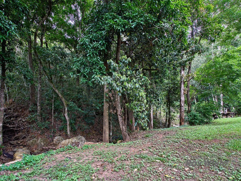 20-22 Rainforest Road, Edmonton QLD 4869