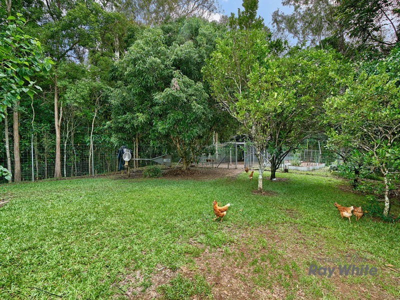 6-8 Palamino Court, Little Mulgrave QLD 4865