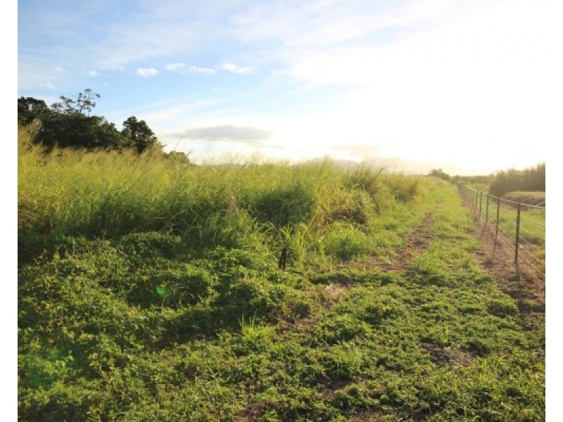 0 Pine Creek – Yarrabah  Road, East Trinity QLD 4871