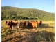 0 Pine Creek – Yarrabah  Road, East Trinity QLD 4871