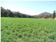2254 Ogunbil Road, Tamworth NSW 2340