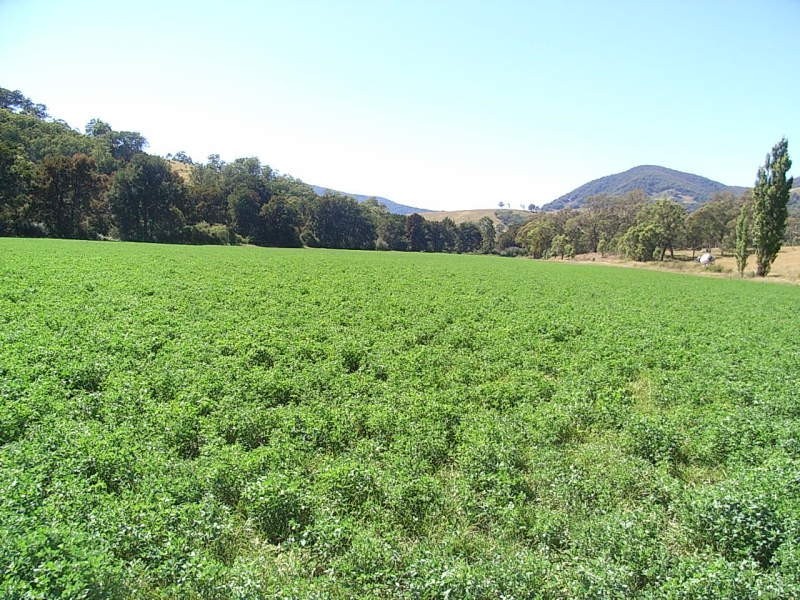 2254 Ogunbil Road, Tamworth NSW 2340