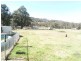 14 Duncan Street, Woolomin NSW 2340