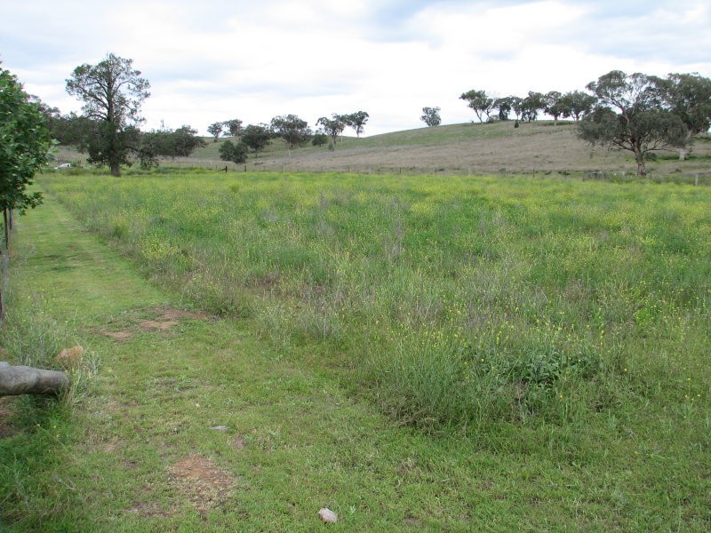 8 Kamilaroi Highway, Quirindi NSW 2343