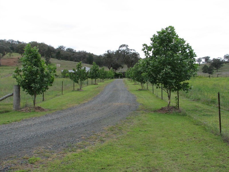 8 Kamilaroi Highway, Quirindi NSW 2343