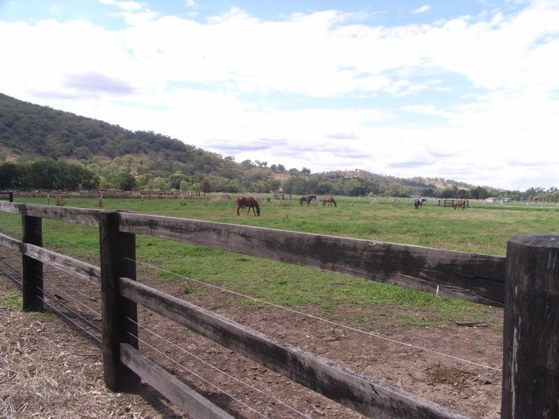 10 King George Avenue, Tamworth NSW 2340