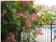 51 Morilla Street, Tamworth NSW 2340