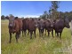 633 Moore Creek Road, Tamworth NSW 2340