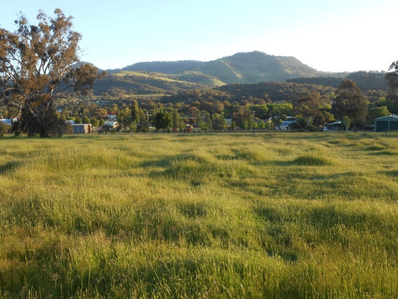 64 Doughboy Street, Murrurundi NSW 2338