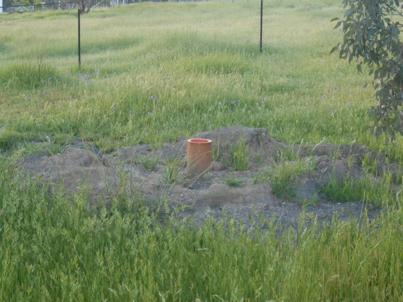 64 Doughboy Street, Murrurundi NSW 2338