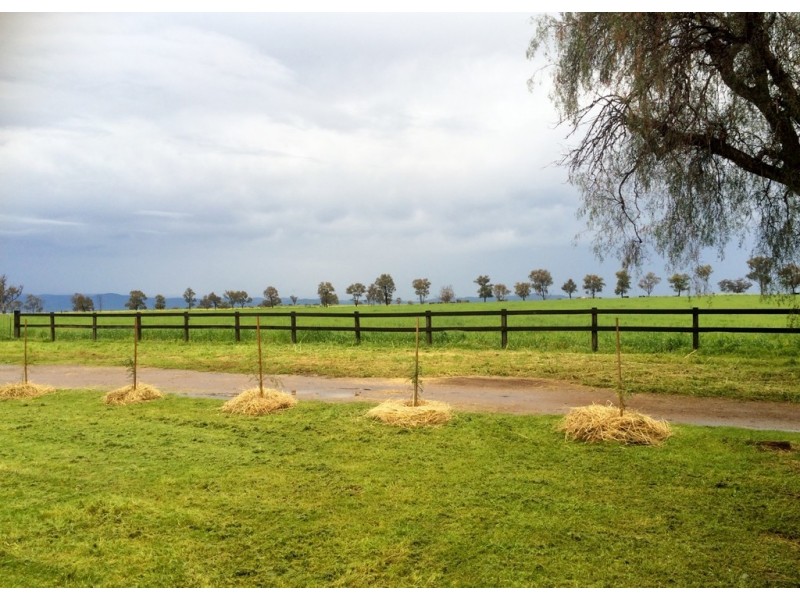 . Bithramere, Tamworth NSW 2340