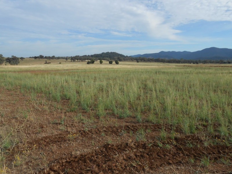 24 Glenmore Drive, Tamworth NSW 2340