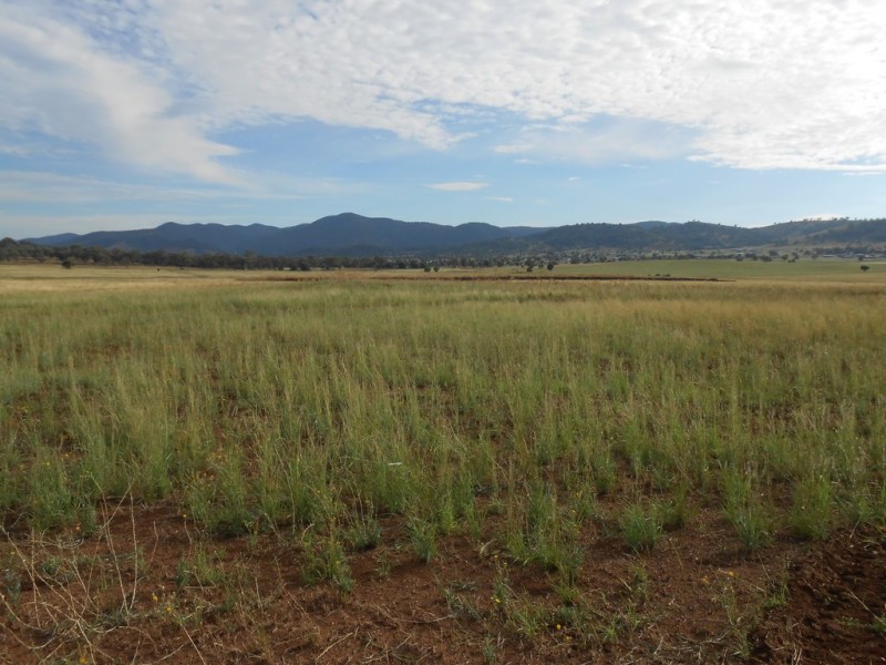 24 Glenmore Drive, Tamworth NSW 2340