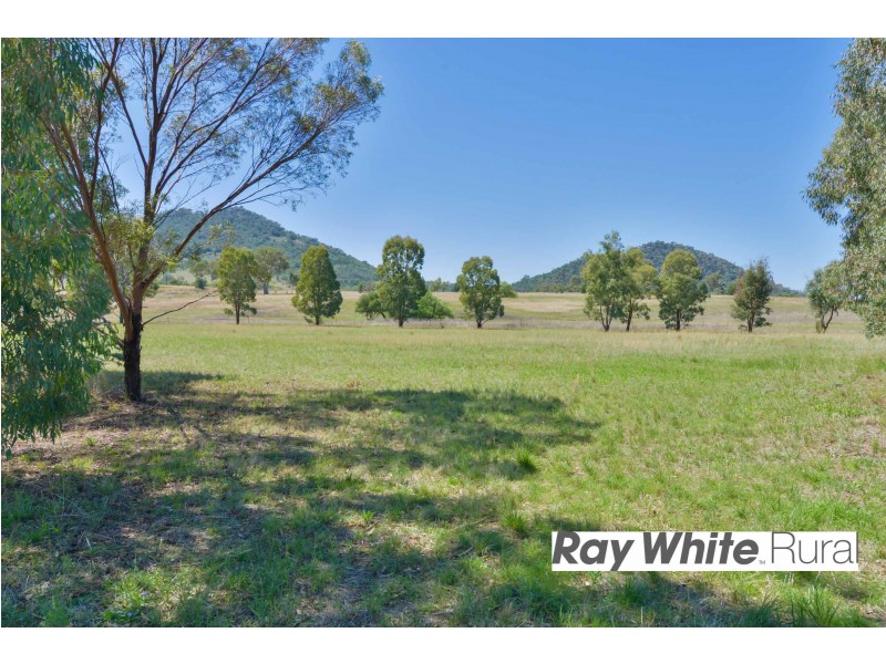 3473 Werris Creek Road, Currabubula NSW 2342