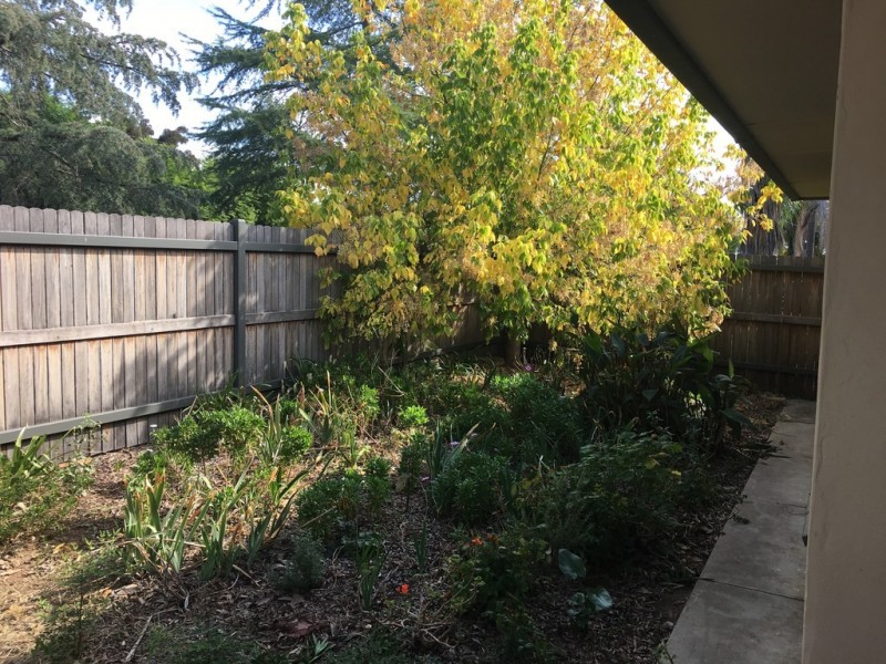 64 Arinya Street, Tamworth NSW 2340