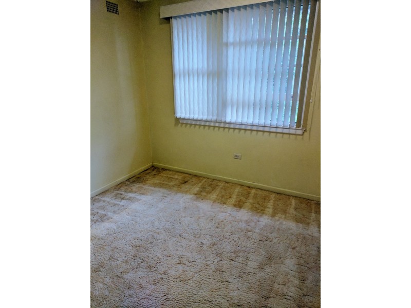 19 Petra Avenue, Tamworth NSW 2340