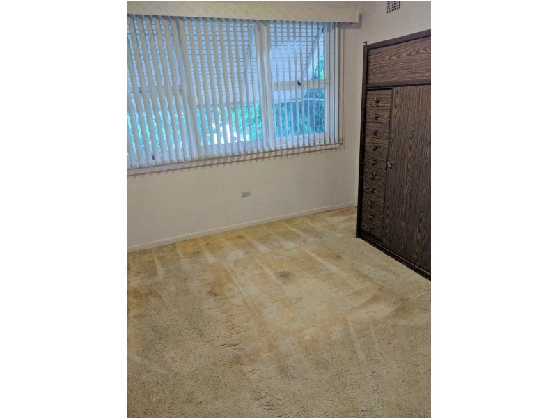 19 Petra Avenue, Tamworth NSW 2340