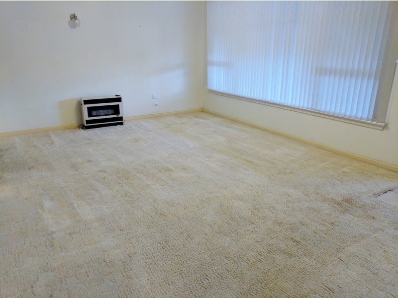 19 Petra Avenue, Tamworth NSW 2340