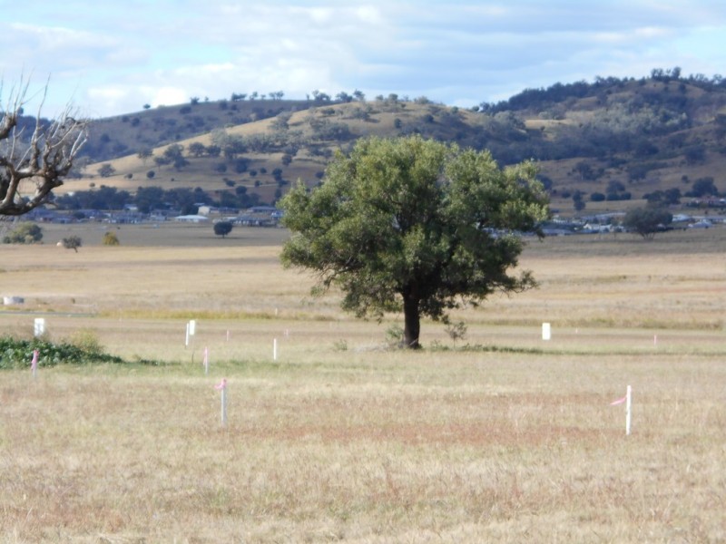 Lot 110, Stage 10 Moore Creek Gardens, Tamworth NSW 2340