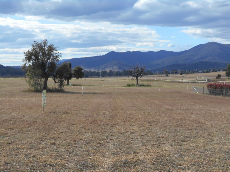 Lot 110, Stage 10 Moore Creek Gardens, Tamworth NSW 2340