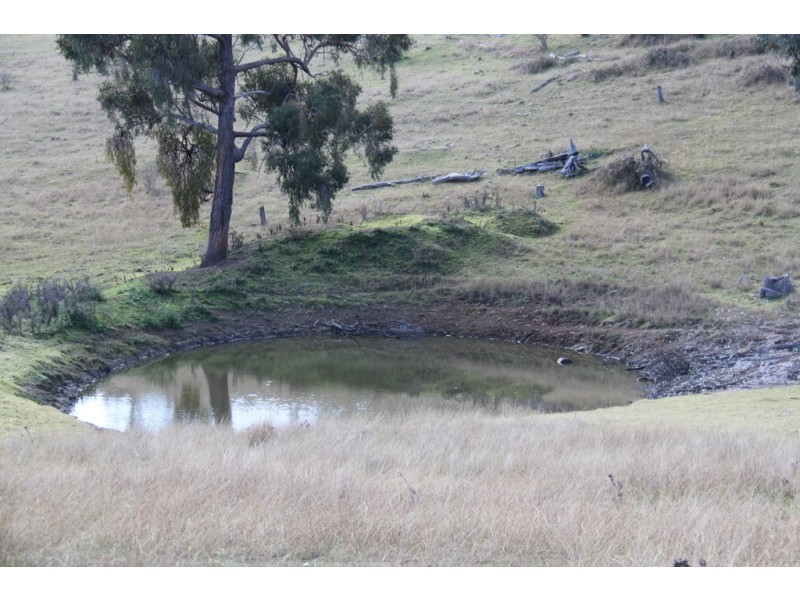 Lot 352 Splitters Gully Road, Nundle NSW 2340