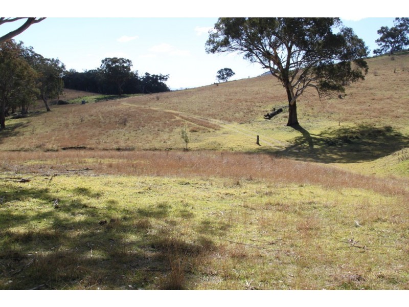 Lot 352 Splitters Gully Road, Nundle NSW 2340