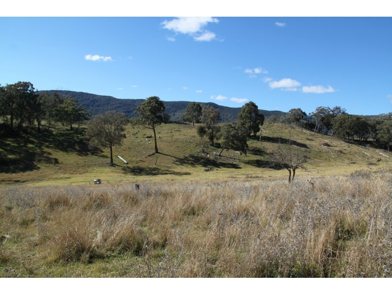 Lot 352 Splitters Gully Road, Nundle NSW 2340