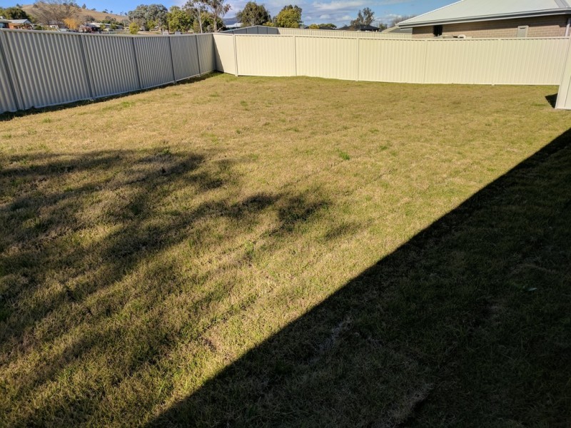 31 Tulipwood Crescent, Tamworth NSW 2340