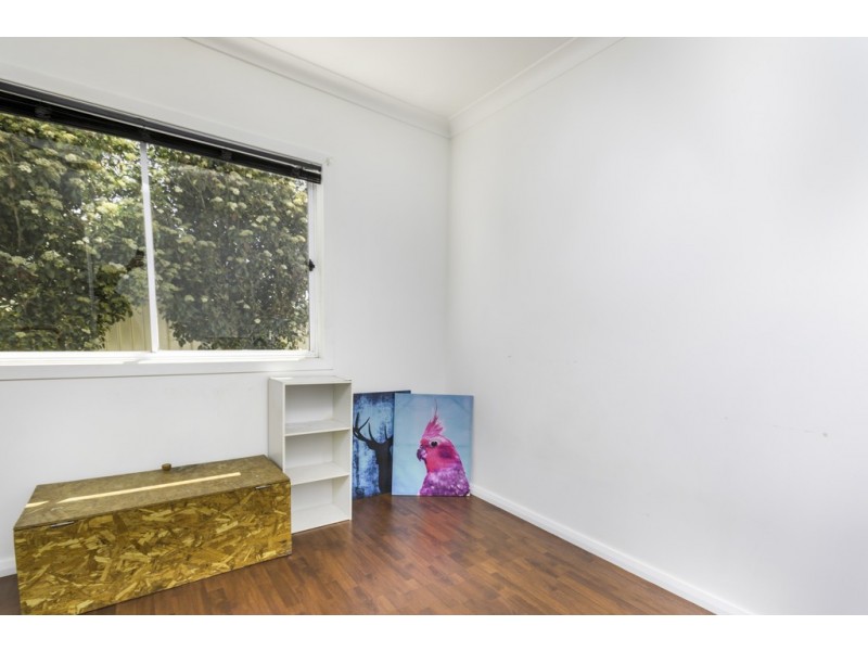 19 Diane Street, Tamworth NSW 2340