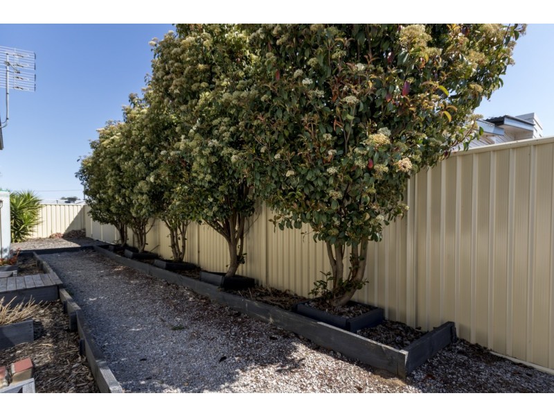 19 Diane Street, Tamworth NSW 2340