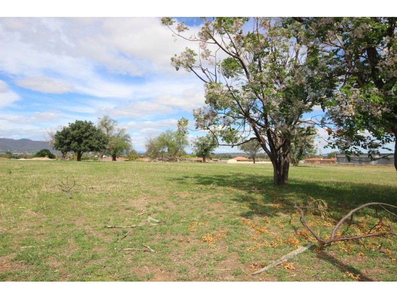 115 Flinders Street, Tamworth NSW 2340