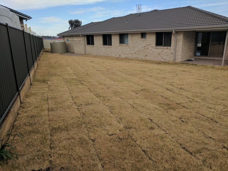 59 Tulipwood Crescent, Tamworth NSW 2340
