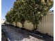 19 Diane Street, Tamworth NSW 2340