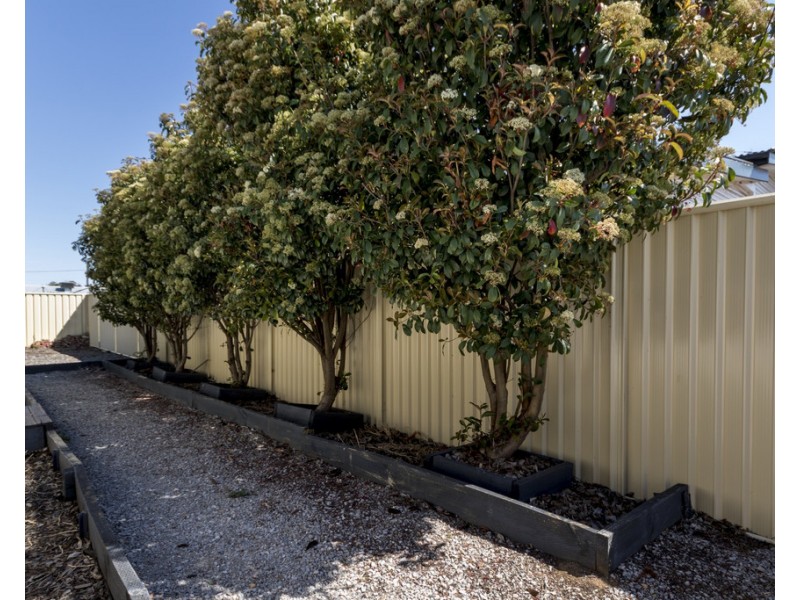 19 Diane Street, Tamworth NSW 2340