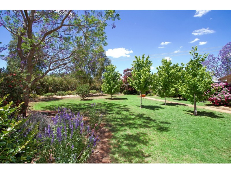 40 Attunga Street, Attunga NSW 2345