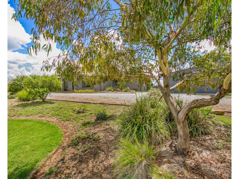20 Brushtail Drive, Tamworth NSW 2340
