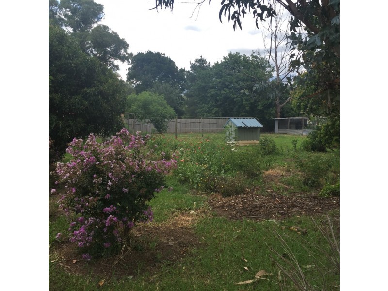 18-20 Dewhurst Street, Woolomin NSW 2340