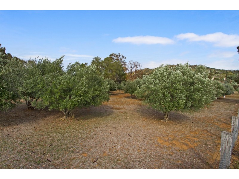 703 Moore Creek Road, Tamworth NSW 2340