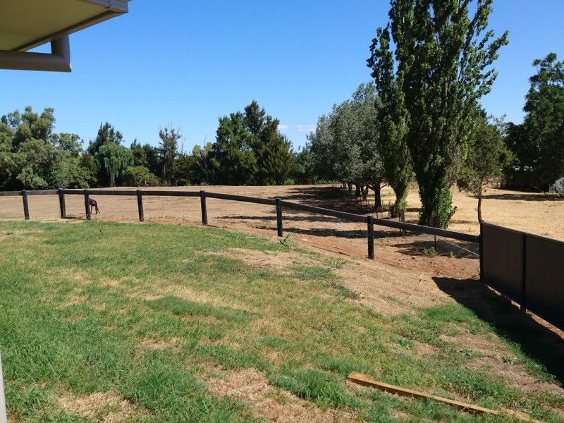 17 Porter Street, Tamworth NSW 2340