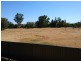 17 Porter Street, Tamworth NSW 2340