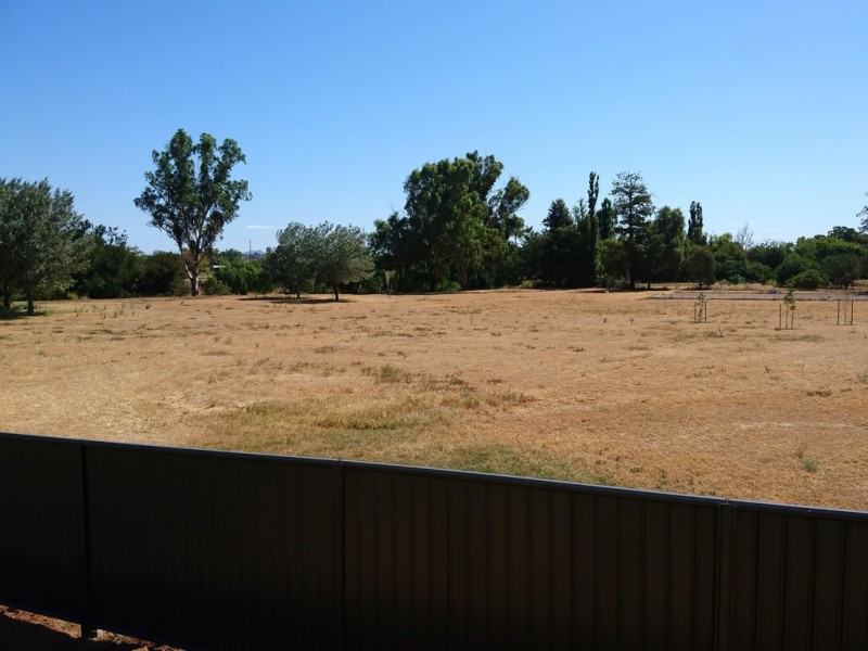 17 Porter Street, Tamworth NSW 2340