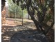198 Johnston Street, Tamworth NSW 2340