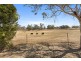 218 Old Winton Road, Tamworth NSW 2340