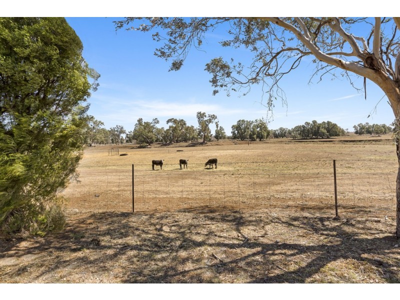 218 Old Winton Road, Tamworth NSW 2340